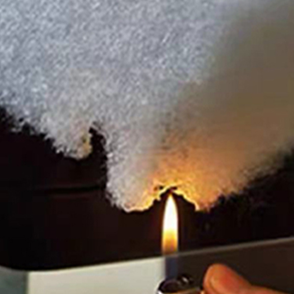 ��ȼ���d